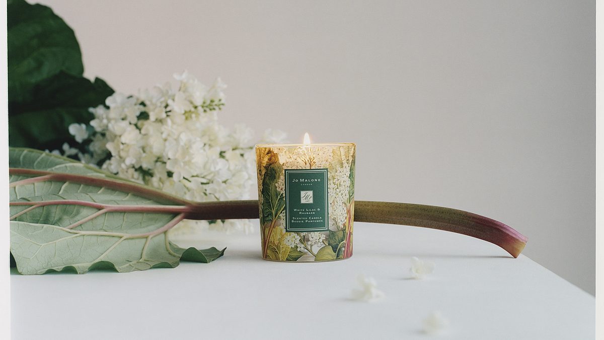 White lilac & best sale rhubarb jo malone